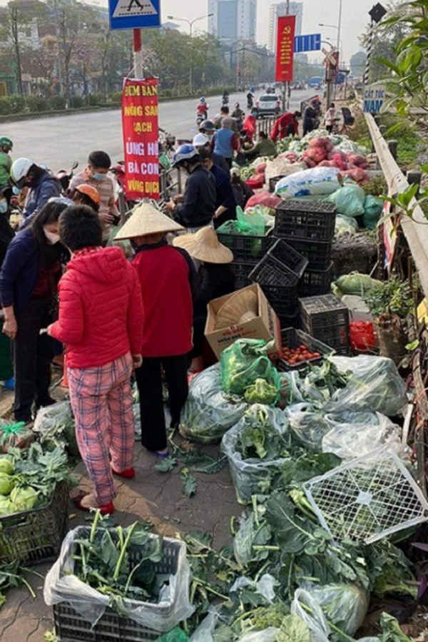 Dân Hà Nội giải cứu rau, củ cho Hải Dương.